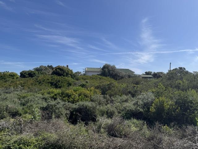0 Bedroom Property for Sale in Boggomsbaai Western Cape